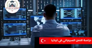 دراسة الامن السيبراني في تركيا